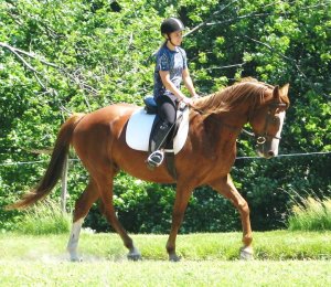 1916907_1325028610219_1244595_n