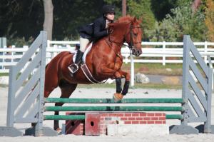 318947_474451142576673_305018225_n