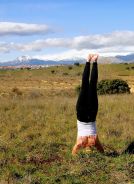 11206829_10204301677566510_7160536345124066569_o