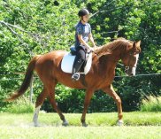 1916907_1325028610219_1244595_n (1)