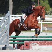 541334_3793524361070_199817255_n