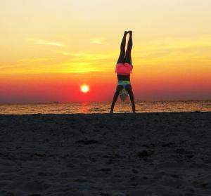 551810_3588711640880_1678286049_n